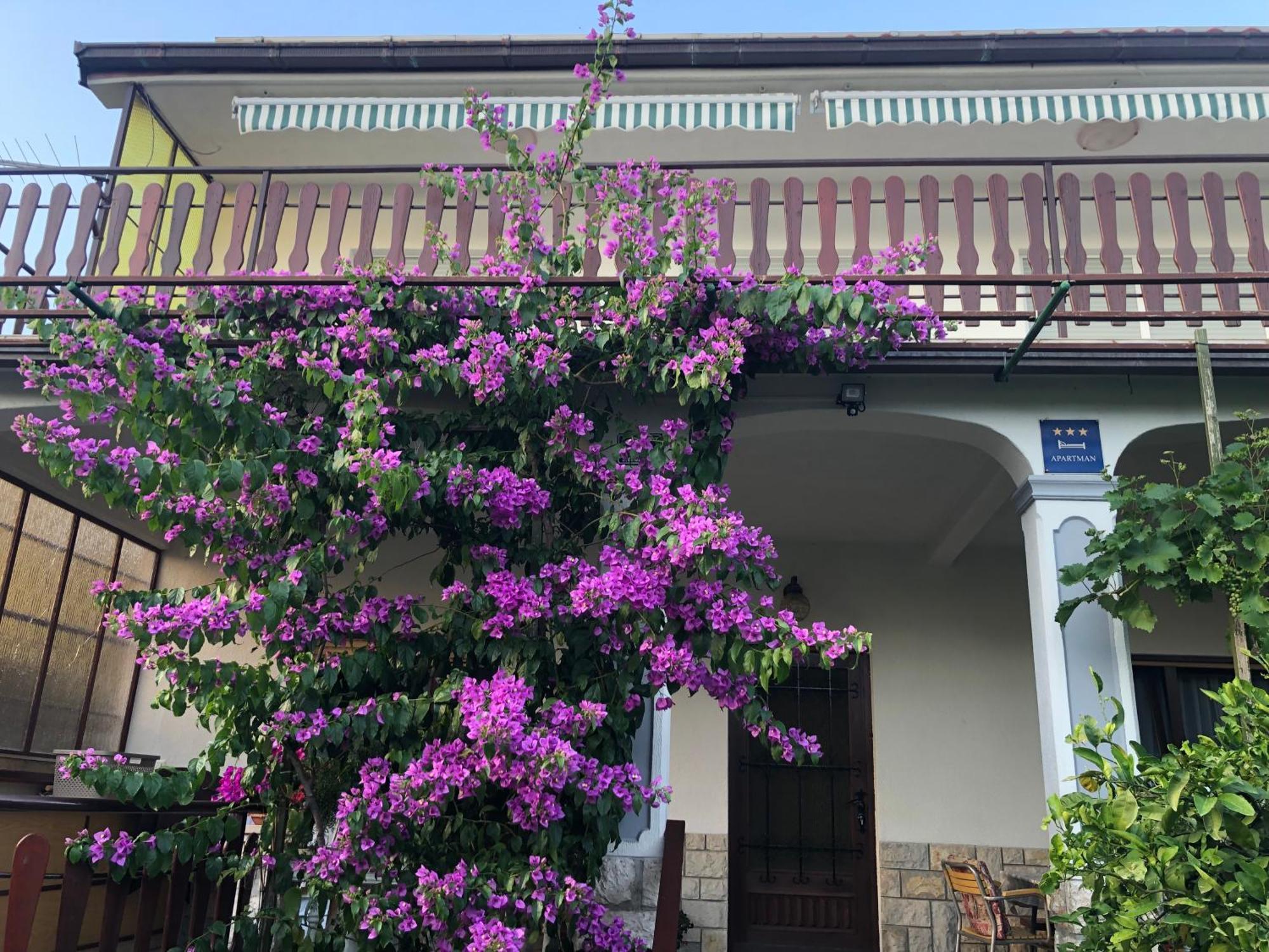 Apartment Marija Selce Εξωτερικό φωτογραφία